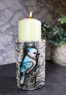 Blue Jay Candle Stand Songbird on Birch Tree Candle Holder Rustic Bird Figurine