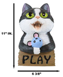 Whimsical Crazy For Cats Feline Kitty Black Cat Play Door Or Wall Hanging Sign