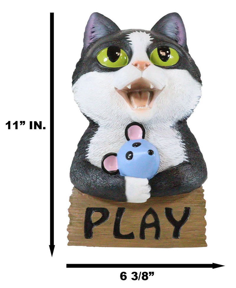 Whimsical Crazy For Cats Feline Kitty Black Cat Play Door Or Wall Hanging Sign