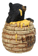 Western Forest Black Honey Pot Bear Life is Sweet Decorative Trinket Jewelry Box