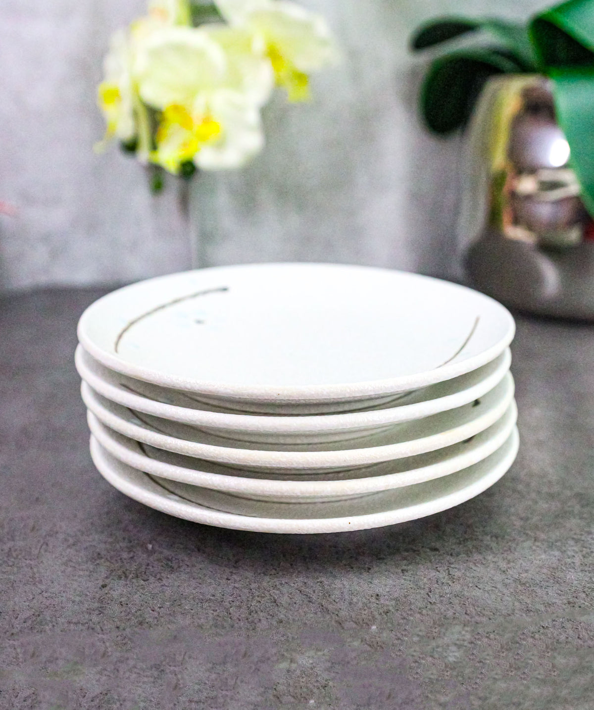 Set Of 5 Yukino Hana Snowflakes Round Appetizer Dessert Salad Ceramic Plates 6"D