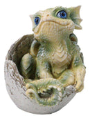 Adorable Green Baby Dragon Hatchling Cracking Out of Egg Shell Figurine 4"H