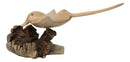 Marine Balinese Hand Carved Coral Reef Manta Ray On Burl Parasite Wood Base 8"L