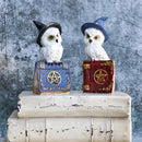 Pack Of 2 Witchcraft Spell Witch Snow Owls On Pentagram Spellbooks Figurine