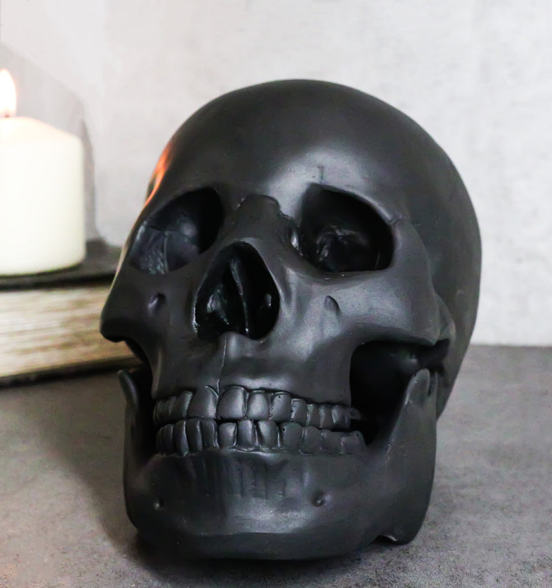 Macabre Goth Ghost Black Homosapien Replica Skull With Movable Jaw Bone Figurine