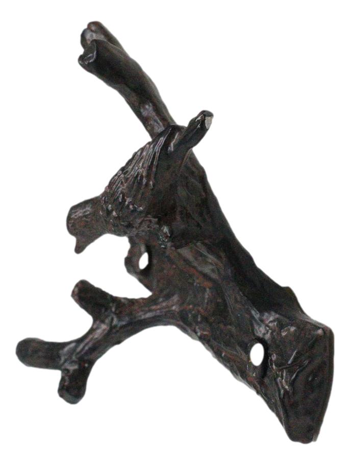 Set of 2 Cast Iron Rustic Bird Perching On Twig Branches 2-Pegs Wall Hooks