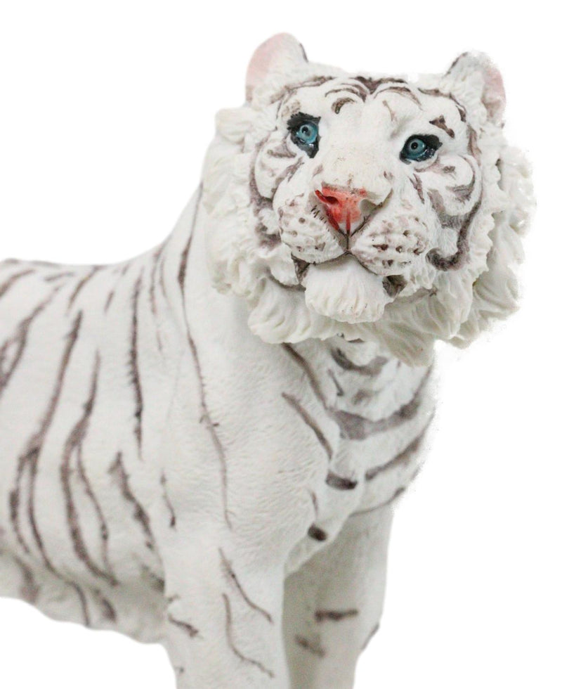 Apex Jungle Predator Prowling Fierce Siberian White Bengal Tiger Figurine