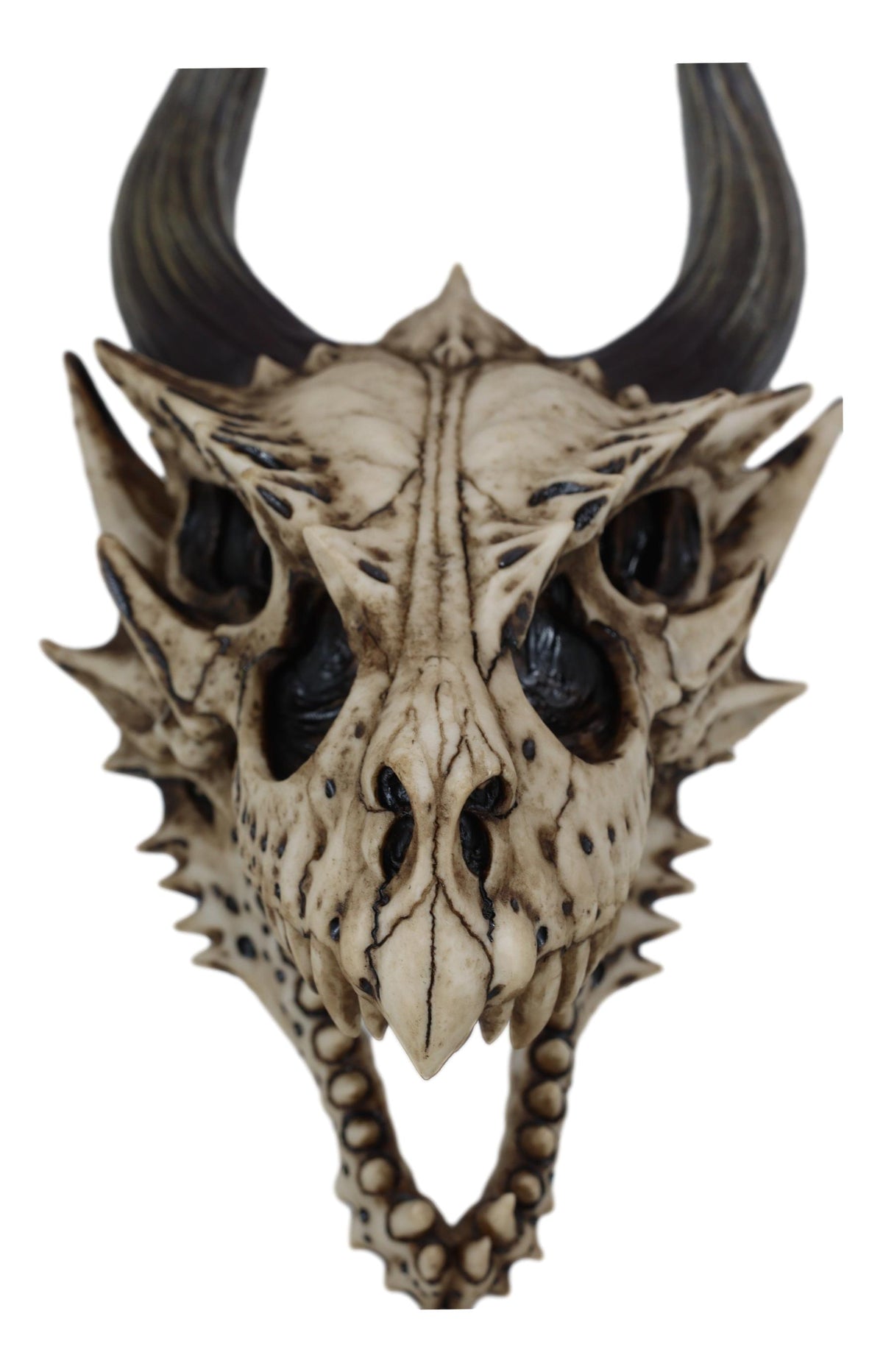 Jurassic Beowulf Gnarling Dragon Head Skull Realistic Fossil Wall Decor Figurine
