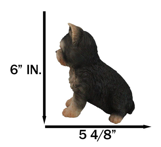 Adorable Lifelike Pet Pal Sitting Yorkie Terrier Puppy Home Decor Figurine