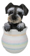 Adorable Grey Mini Schnauzer Puppy Dog Figurine With Glass Eyes Pup In Pot