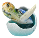 Blue Nautical Marine Sea Turtle Hatchling Emerging Out of Egg Mini Figurine