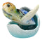 Blue Nautical Marine Sea Turtle Hatchling Emerging Out of Egg Mini Figurine