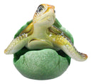 Green Nautical Marine Sea Turtle Hatchling Emerging Out of Egg Mini Figurine