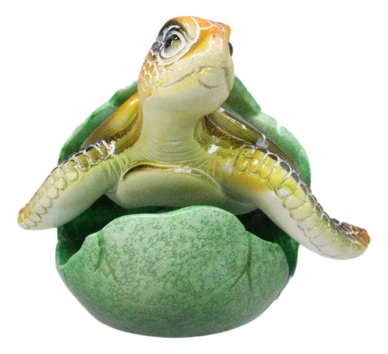 Green Nautical Marine Sea Turtle Hatchling Emerging Out of Egg Mini Figurine
