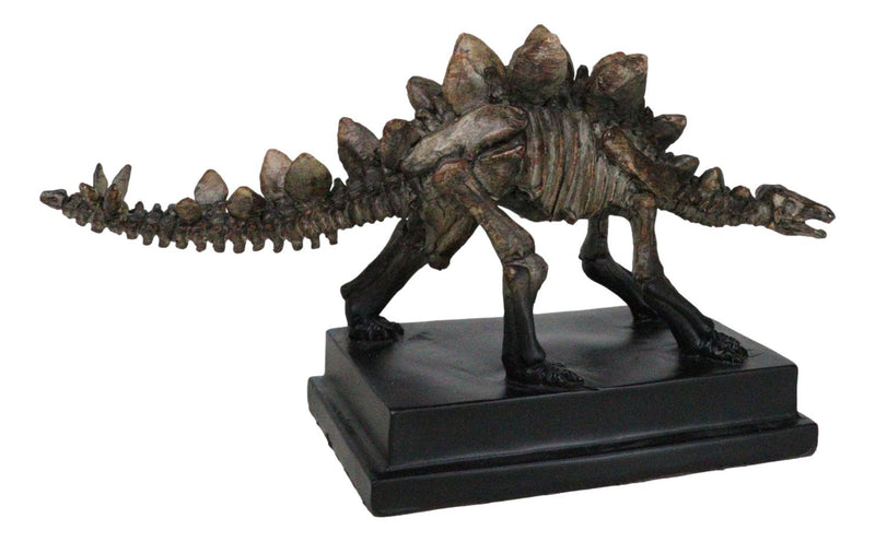 Faux Taxidermy Stegosaurus Dinosaur Fossil Figurine On Museum Display Base Stand