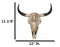 Southwestern Tribal Buffalo Skull Tribal Indian Chief Scrollwork Wall Decor