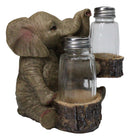Elephant Couple with Intertwined Trunks Glass Salt and Pepper Shakers Holder