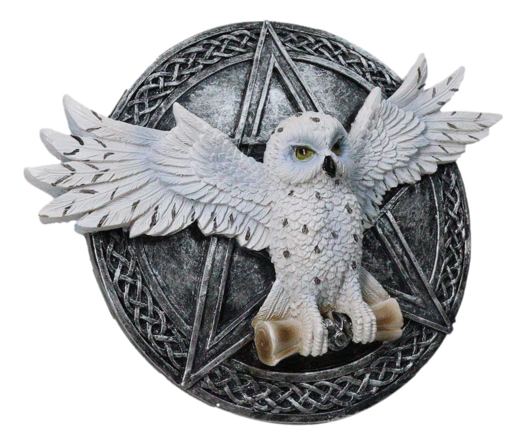 Wiccan Witch White Snowy Owl 3D Wall Plaque With Pentagram & Celtic Knotwork