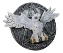 Wiccan Witch White Snowy Owl 3D Wall Plaque With Pentagram & Celtic Knotwork