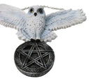 Snowy White Owl Pentagram Medallion Gothic Owl Wall Hanging Plaque 10"Long