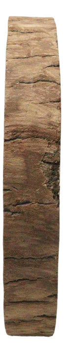 Pack Of 4 Unfinished Natural Wood Slices With Bark 8.25"D DIY Arts And Crafts