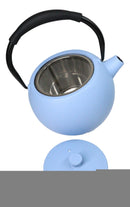Pastel Blue Minimalistic Tilted Round Cast Iron Teapot 28oz Tea Pot With Handle