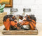Western Wild At Heart Double Brown Chestnut Horses Salt Pepper Shakers Holder