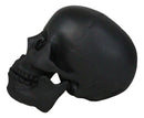 Macabre Goth Ghost Black Homosapien Replica Skull With Movable Jaw Bone Figurine