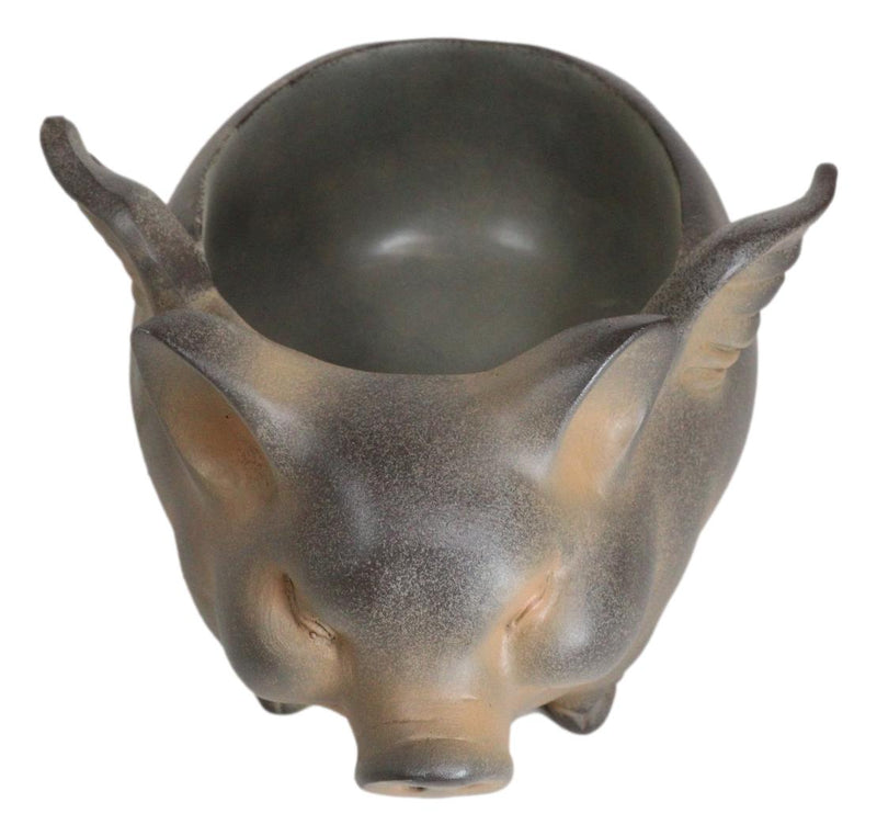 Rustic Country Farm Hog Heavens Angel Wings Pig Decorative Vase Planter Pot