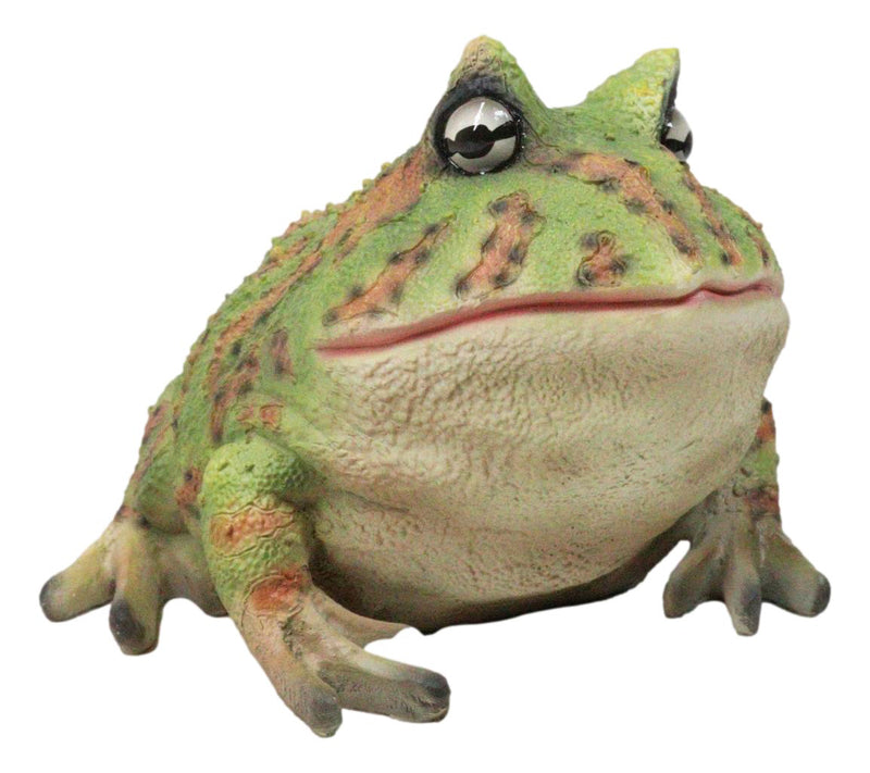 Amphibian Wildlife Realistic Green Bullfrog Frog In Stoic Posture Figurine 7"L