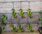 Set Of 6 Green Seahorses Ocean Marine Beach Wall Hanging Decor Tree Ornaments