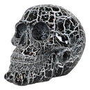 God of Lightning Thunder Bolt Punk Rock Black Skull Figurine Ossuary Macabre Art