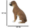 Large 18" Tall Adorable Realistic Sitting Fawn Boxer Dog Statue Home Decor