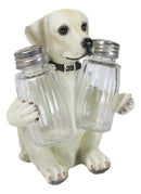 Pup And Spice Wide Eyed Cute Labrador Puppy Dog Glass Salt & Pepper Shakers Set