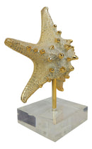 Nautical Marine Coral Golden Sea Star Shell Starfish Sculpture Acrylic Base