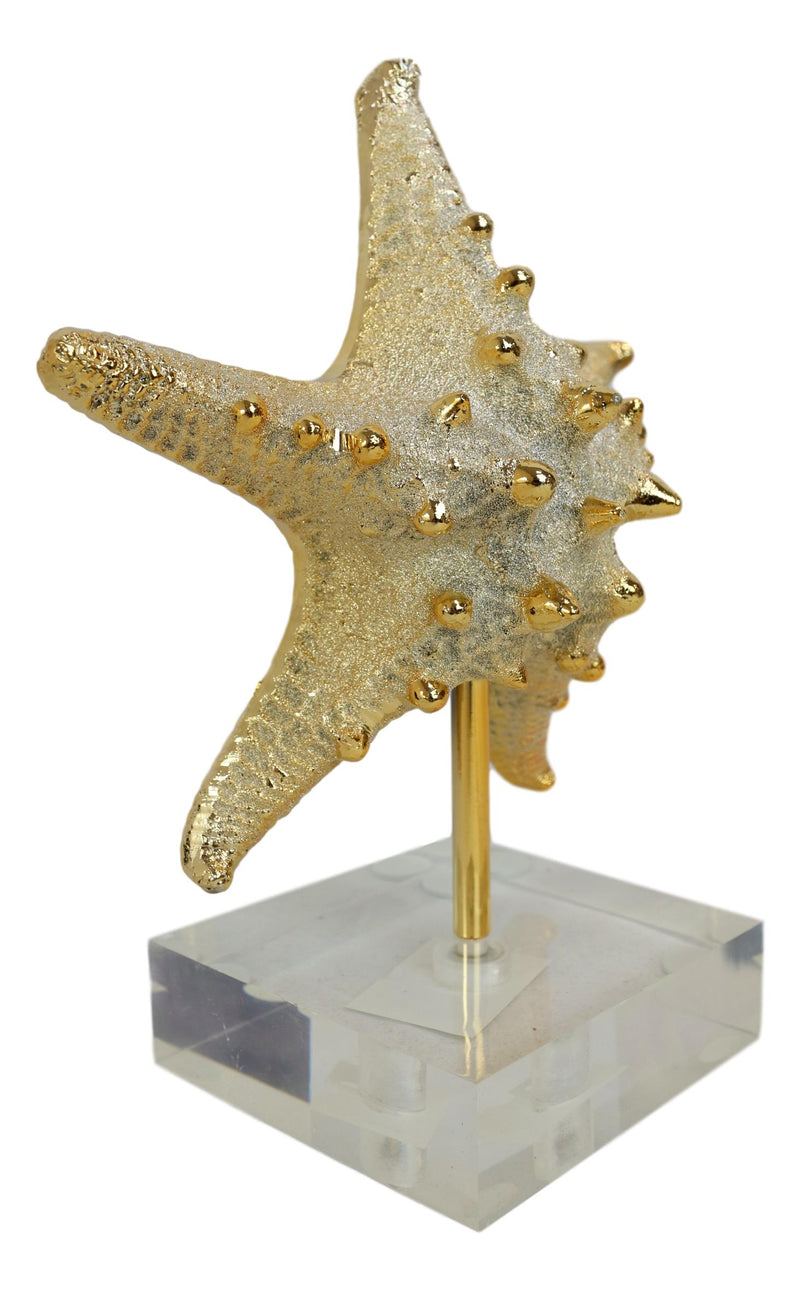 Nautical Marine Coral Golden Sea Star Shell Starfish Sculpture Acrylic Base
