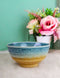 Pack Of 5 Blue River Ao Nagashi Medium Soup Salad Rice Donburi Poke Bowls 24oz
