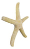 Nautical Marine Ocean Coral Yellow Sea Star Shell Starfish Wall Plaque Sculpture