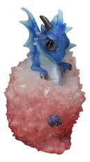 Whimsical Cute Blue Baby Dragon Hatchling in Crystal Icicle Red Egg Figurine