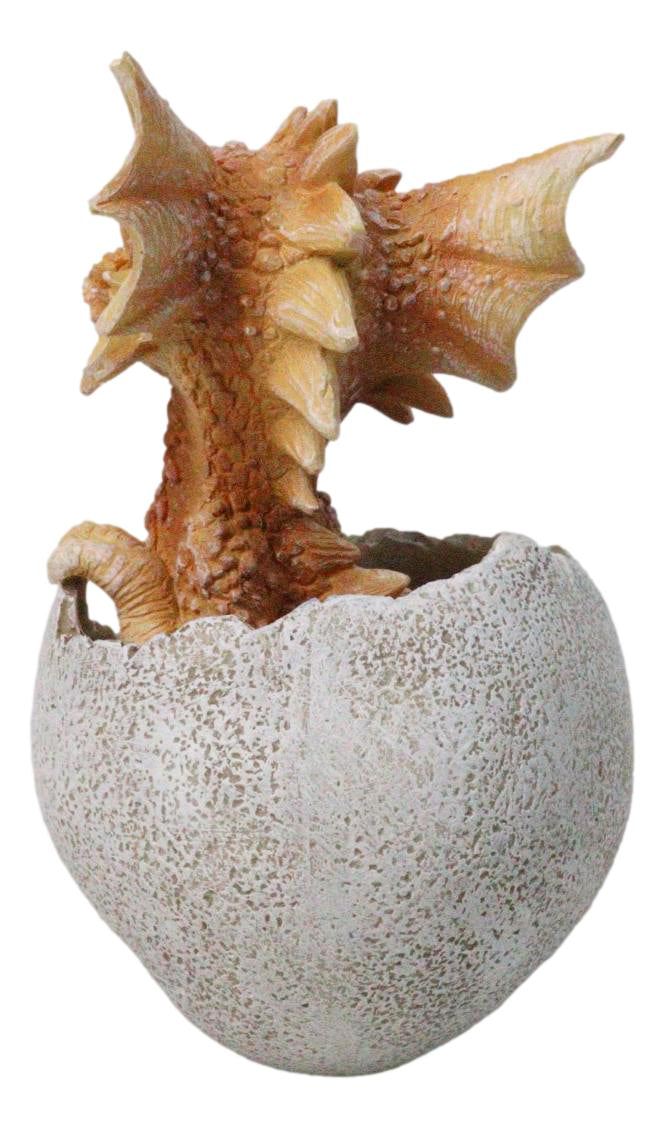 Ebros Orange Clay Colored Dragon Hatchling in Egg Fantasy Figurine, 5 Inch