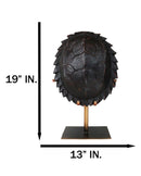 Large Nautical Marine Jagged Shell Faux Sea Turtle Sculpture With Pole Stand