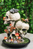Macabre Death Moths Toadstool Mushrooms and Moss Fungi Trio Skulls Figurine