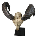 Large Alien Mutated Quad Horns Ram Skull Head Sculpture On Museum Stand 16.25"H