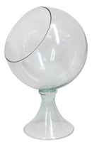 Contemporary Clear Glass Globe Storage Display Bowl 16"H Fruits Succulents