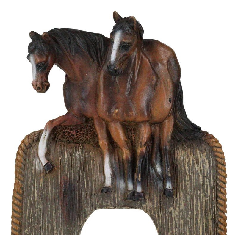 Set Of 2 Novelty Western Country Equine Horses Double Receptacle Outlet Plates