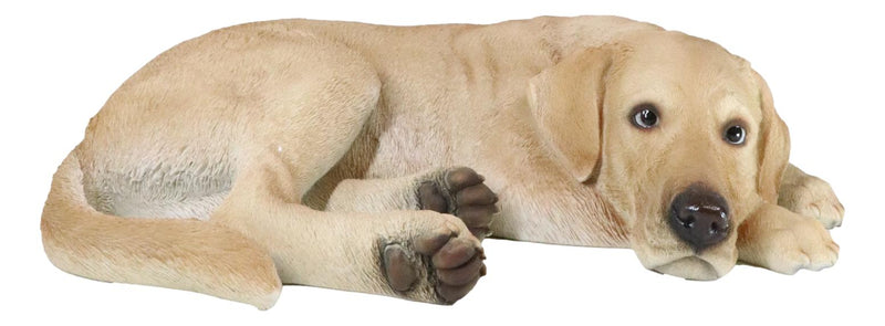 Large Realistic Sleeping Yellow Labrador Retriever Statue 21"H Golden Retriever
