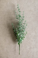 Pack Of 6 Large Realistic Lifelike Artificial Eucalyptus Stem Plant Botanicas