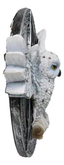 Wiccan Witch White Snowy Owl 3D Wall Plaque With Pentagram & Celtic Knotwork