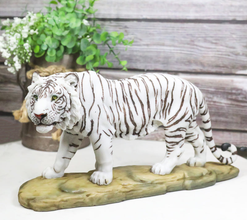 Prowling Fierce Leucistic Winter White Bengal Tiger Figurine 11.25" L