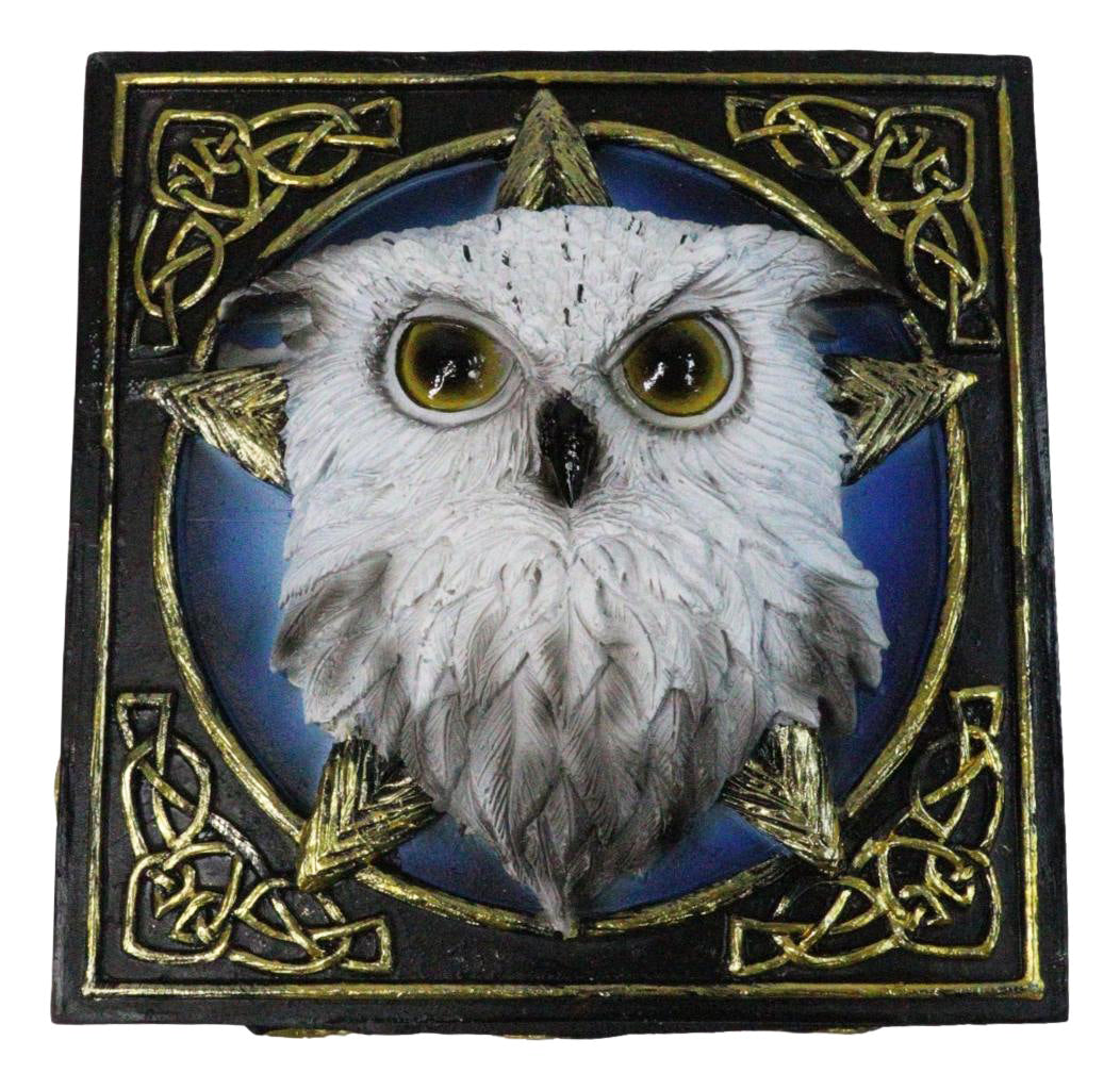 Snowy Owl Trinket Box, 5 x 5 Inch Decorative Keepsake Box with Celtic Knotwork